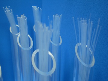 TPX-2 TPX-2